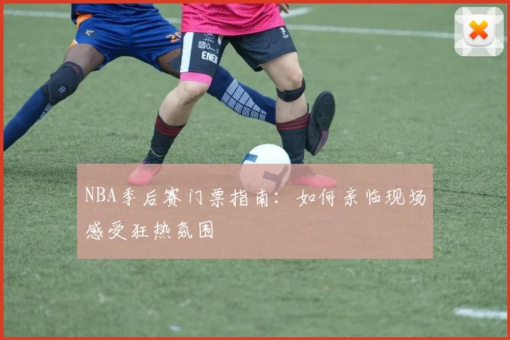 NBA季后赛门票指南:如何亲临现场感受狂热氛围